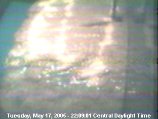 Cedar Rapids Webcam Turtle Cam